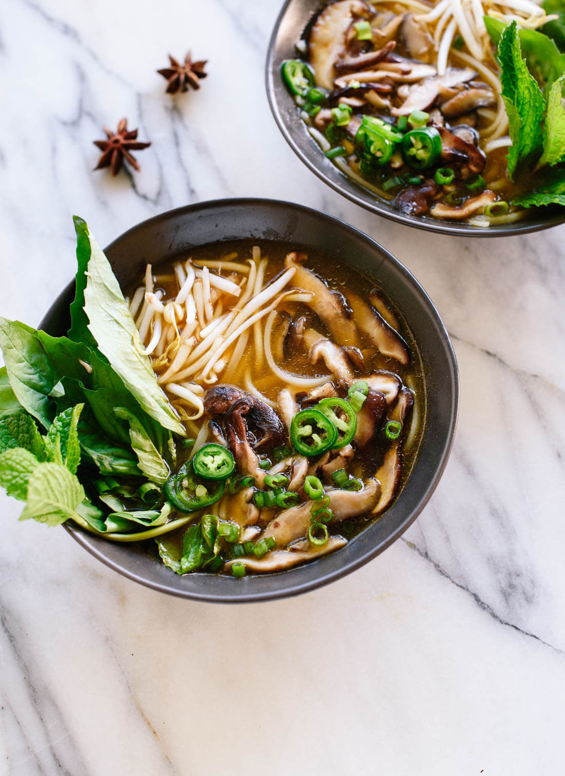 20 Best Vegetarian Pho Recipes – Best Diet and Healthy Recipes Ever ...