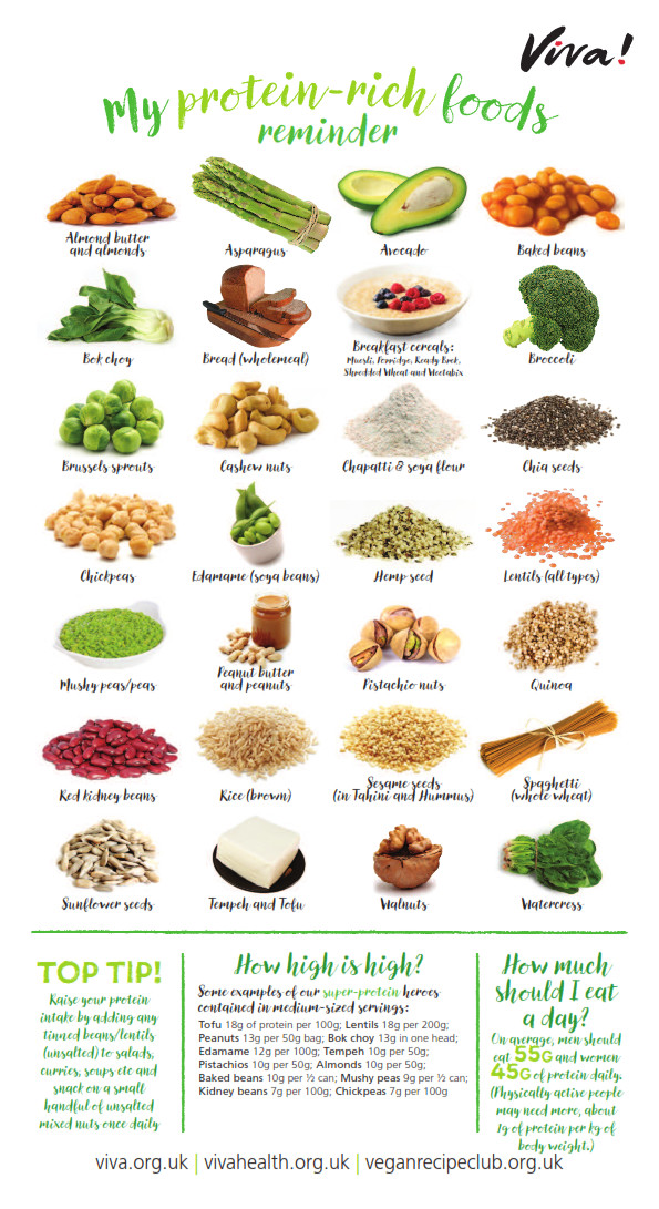 Vegetarian Protein Rich Foods
 Protein rich foods wallchart