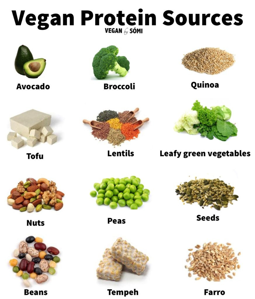 Vegetarian Sources Of Complete Protein
 Be ing vegan ve arian involves a lot more than just