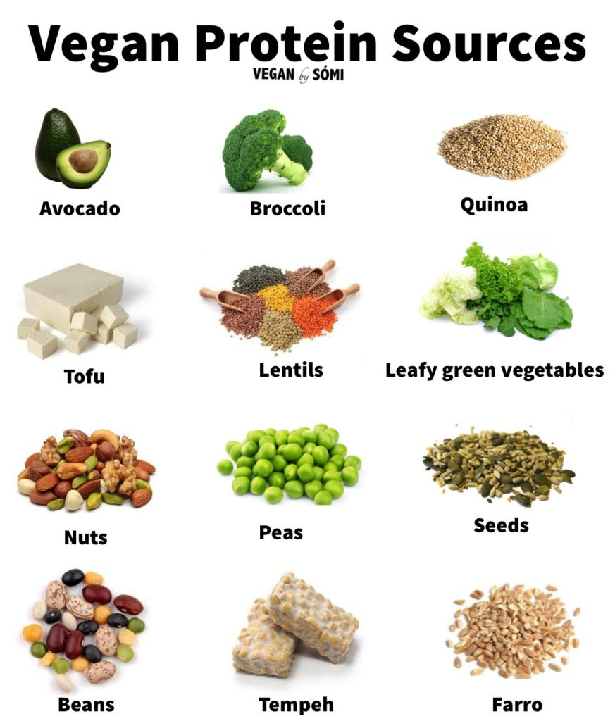 The Best Ideas for Vegetarian sources Of Complete Protein – Best Diet ...