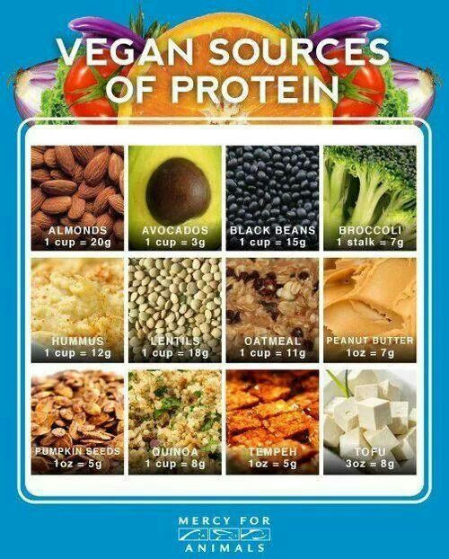 Top 20 Vegetarian sources Of Protein – Best Diet and Healthy Recipes ...