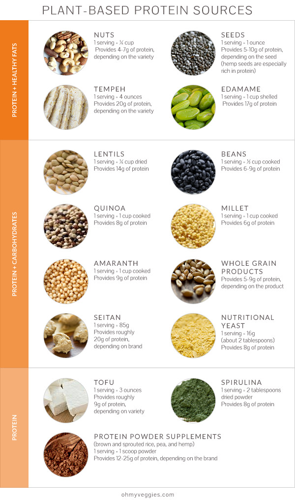 Vegetarian Sources Of Protein
 Nutrition Q&A Protein Plant Based Diets