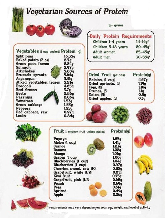 Vegetarian Sources Of Protein
 An Easy to Follow Ve arian Nutrition Guide