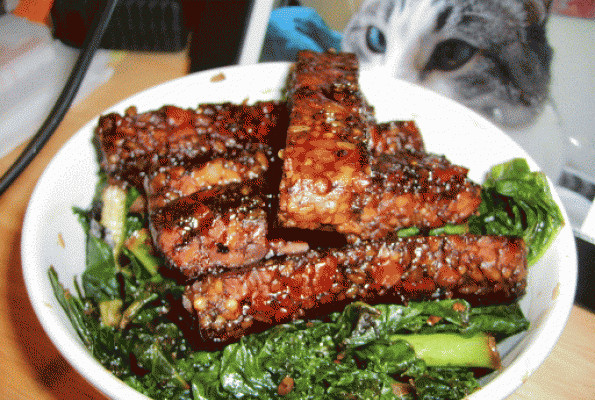 Vegetarian Tempeh Recipes
 Pomegranate Balsamic Grilled Tempeh