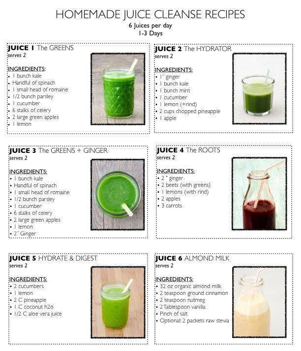 Weight Loss Juice Cleanse Recipes
 A Guide to Juice Cleanse