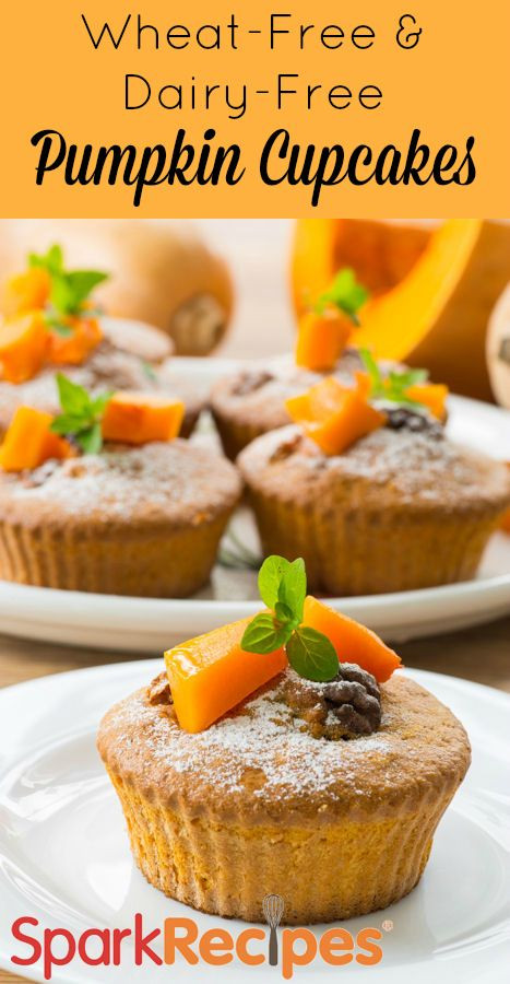 Wheat And Dairy Free Recipes
 Check out Wheat Free & Dairy Free Pumpkin Cupcakes It s