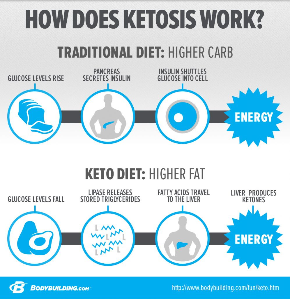 Why Am I Exhausted On The Keto Diet
 Ketogenic Diet and Ketosis Lansdowne VA