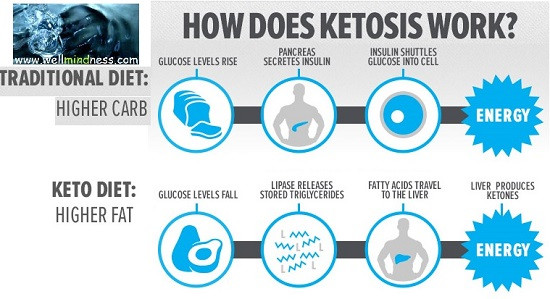 Why Does The Keto Diet Work
 Atkins and Ketosis Wellmindness