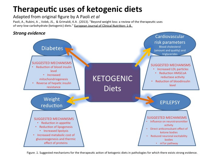 Why Does The Keto Diet Work
 How ketogenic low carb high fat ts work – The Science