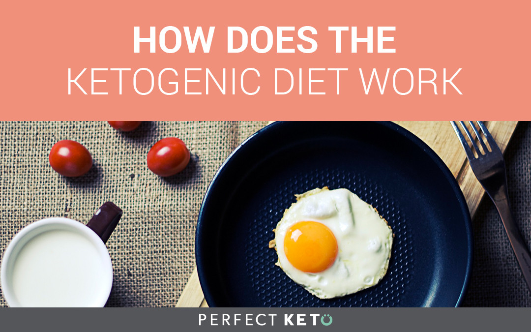 Why Does The Keto Diet Work
 How Does the Ketogenic Diet Work Perfect Keto Exogenous