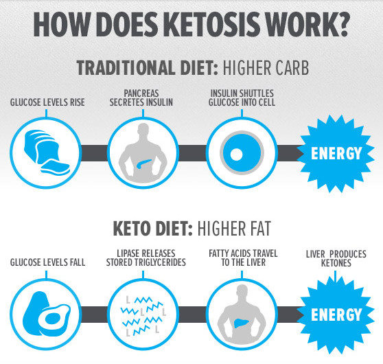 Why Does The Keto Diet Work
 Ketogenic Diet – Why Going Keto Might Help You
