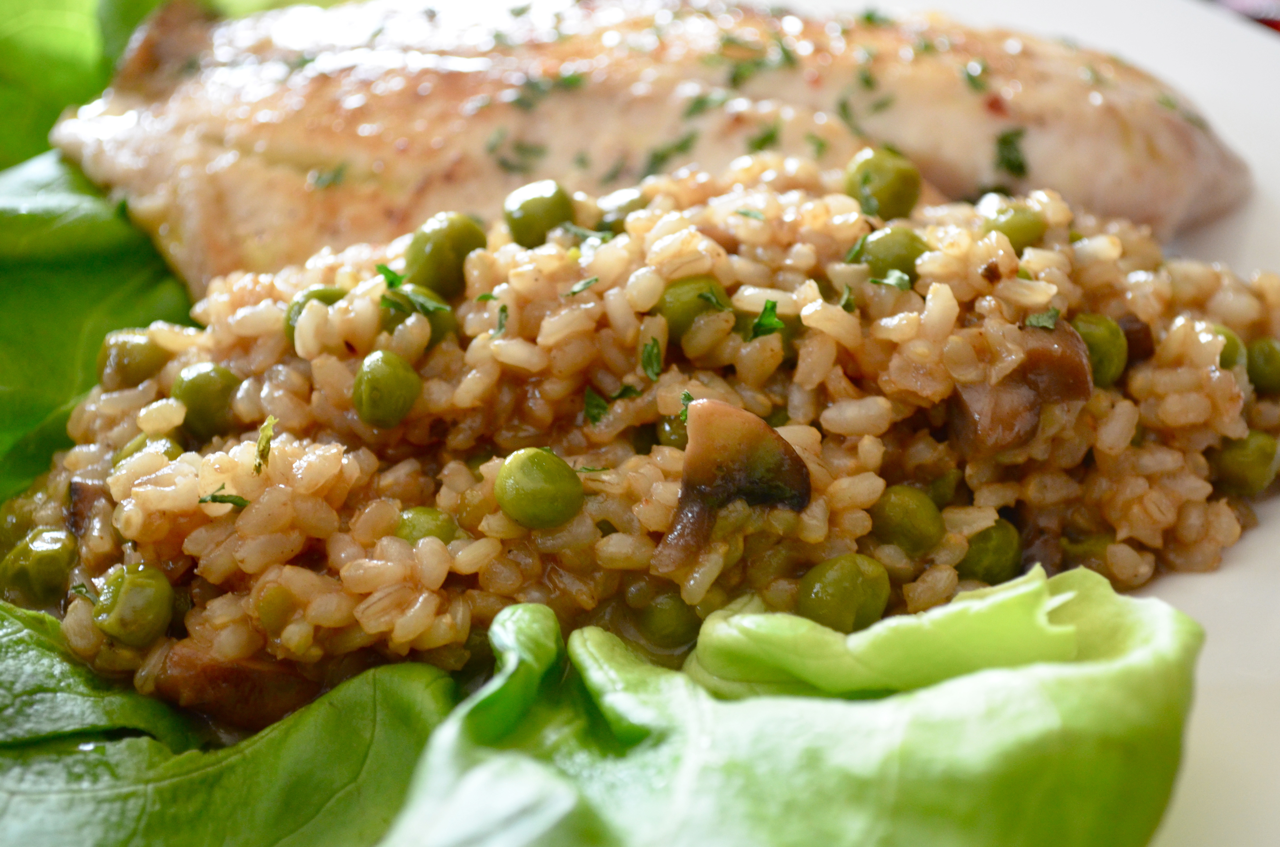 Why Is Brown Rice Healthy
 6 Best Healthy Brown Rice Recipes