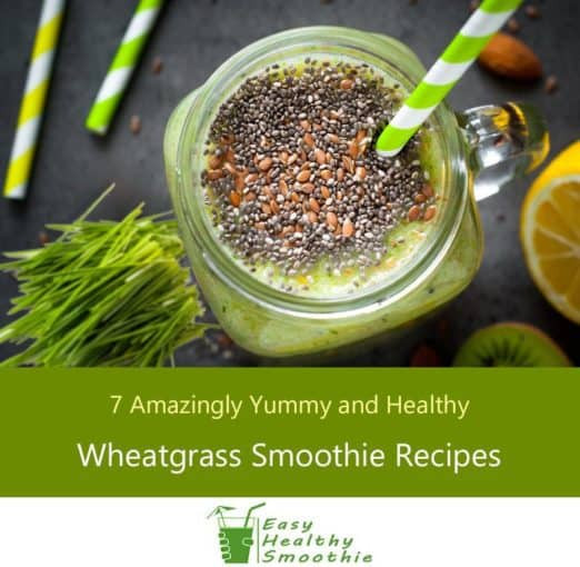 Yummy Healthy Smoothies
 Wheatgrass Smoothies Recipes – 7 Yummy and Healthy Shakes