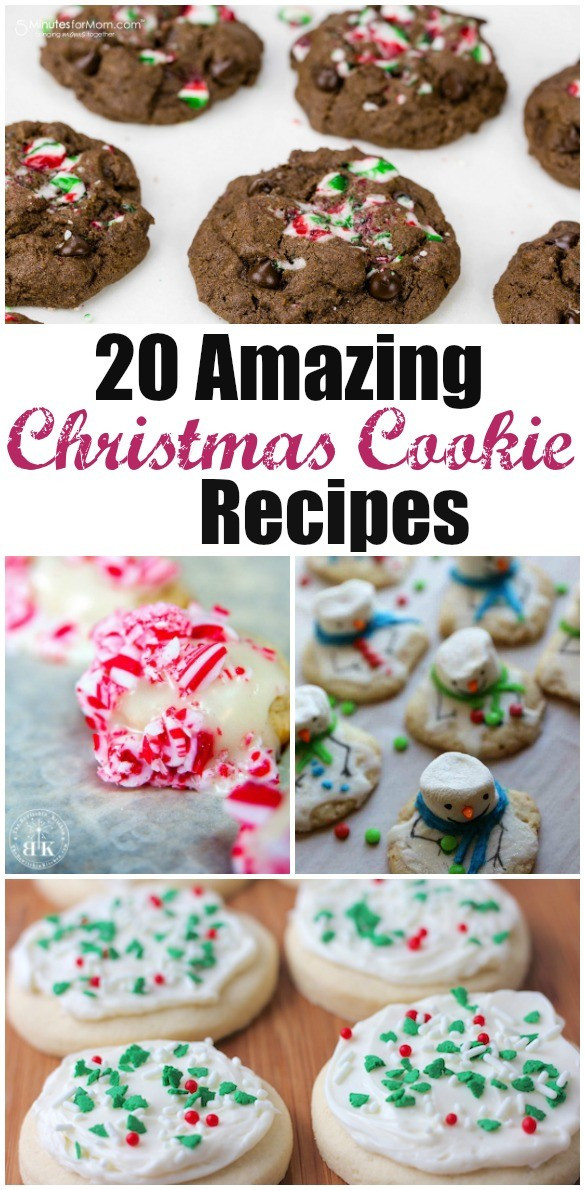 Amazing Christmas Cookies
 20 Amazing Christmas Cookie Recipes The Life of a Home Mom