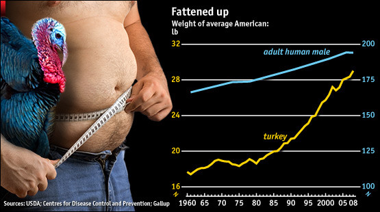 Average Thanksgiving Turkey Weight
 CARPE DIEM Fattened Up Over Time Turkeys and Americans