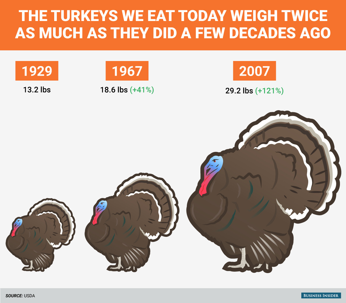 Average Thanksgiving Turkey Weight
 The turkeys we eat today weigh twice as much as they did a