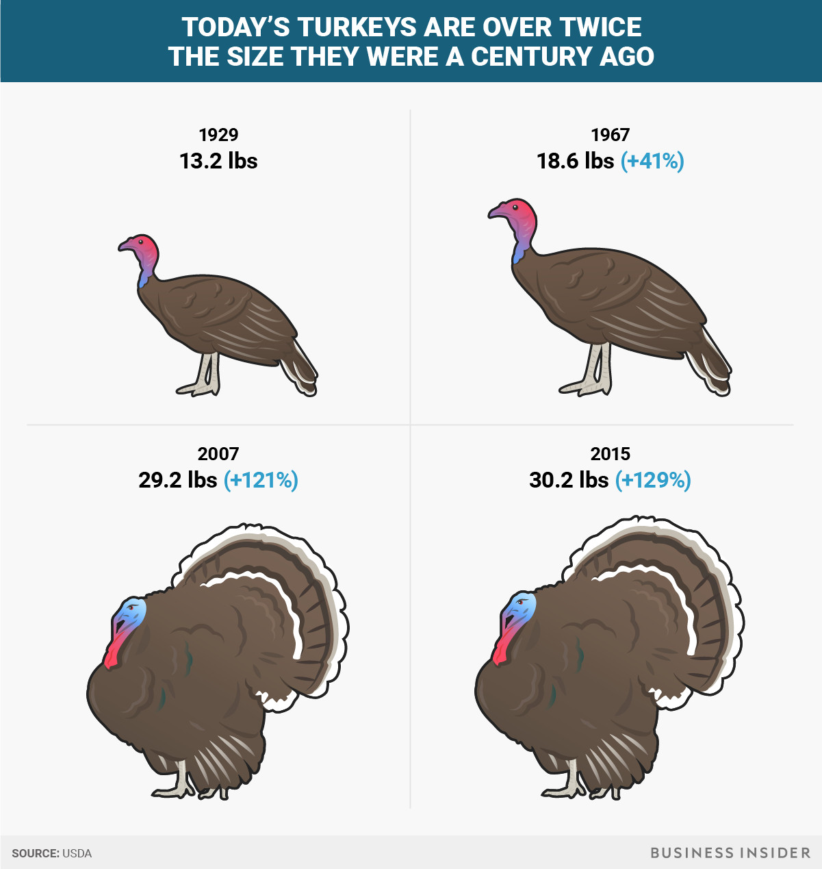 Average Turkey Weight Thanksgiving
 Thanksgiving turkeys have doubled in size since the 1950s