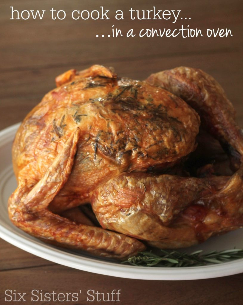 Bake Thanksgiving Turkey
 How To Cook a Turkey in a Convection Oven