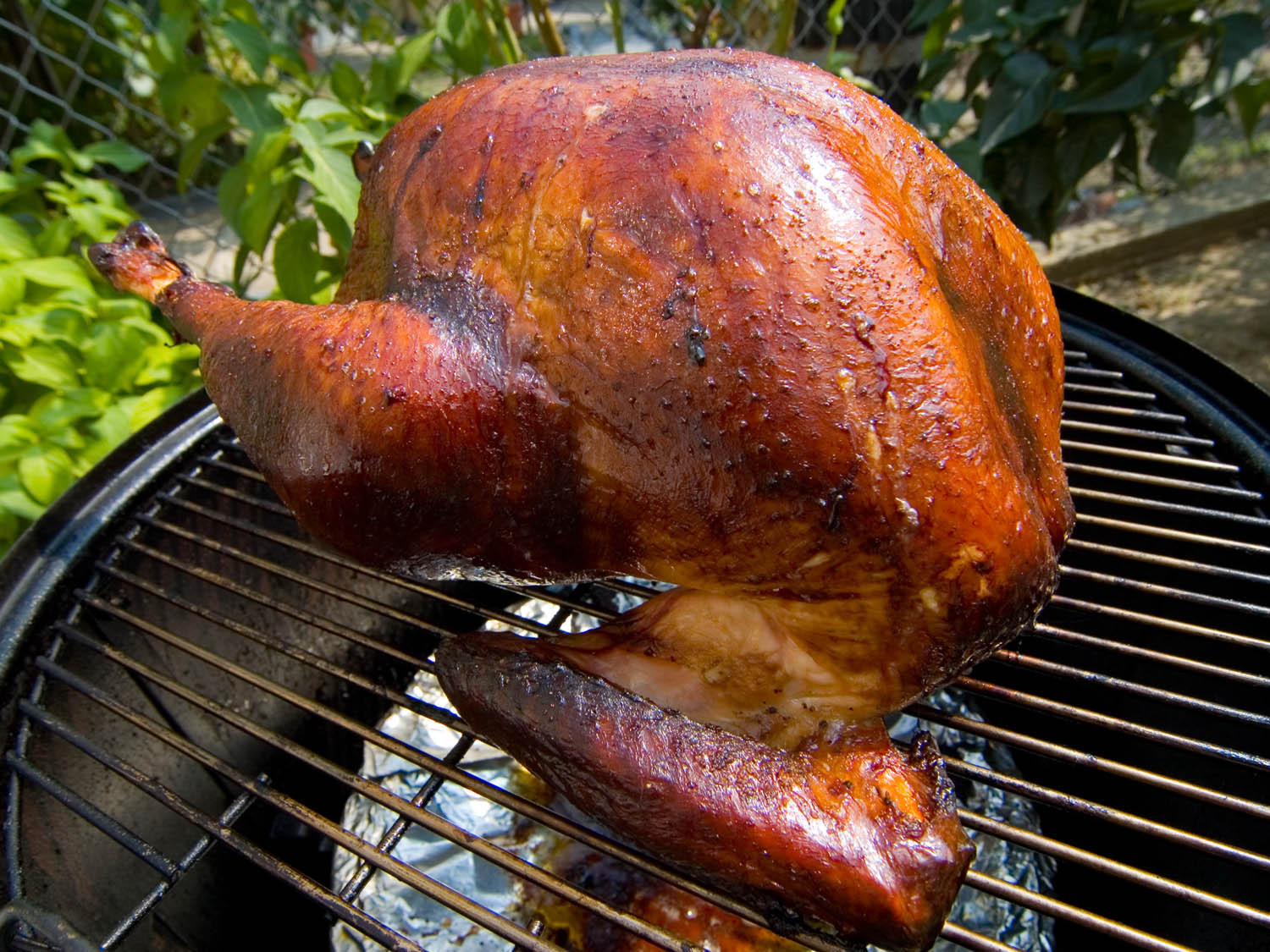 Bbq Thanksgiving Turkey
 This White Wine and Mustard Gravy is Custom Built for Your
