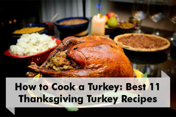 Best Cooked Turkey For Thanksgiving
 How to Cook a Turkey 11 Best Thanksgiving Turkey Recipes