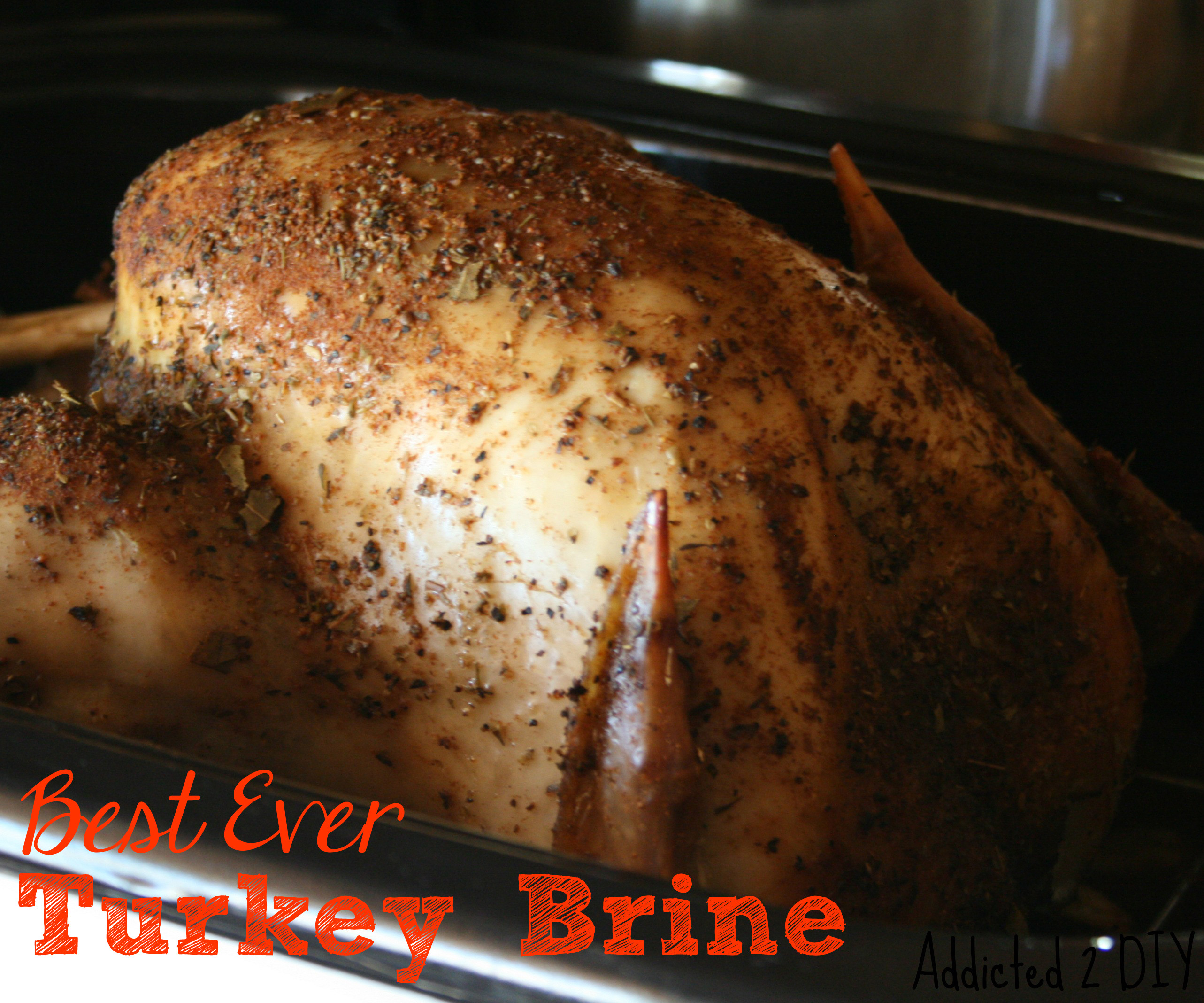 Best Thanksgiving Turkey Brine
 Best Ever Turkey Brine Addicted 2 DIY