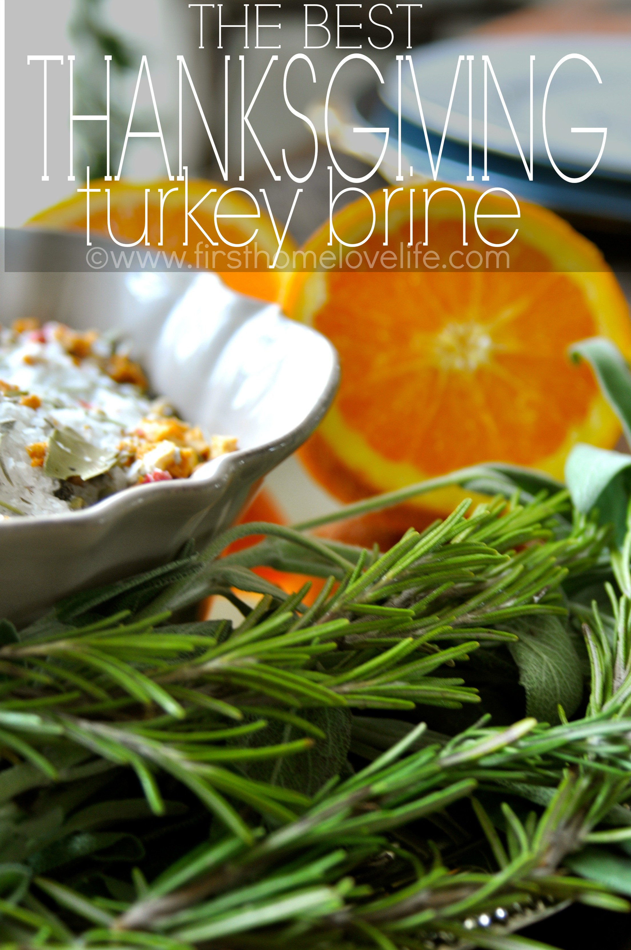 Best Thanksgiving Turkey Brine
 The Best Thanksgiving Turkey Brine First Home Love Life