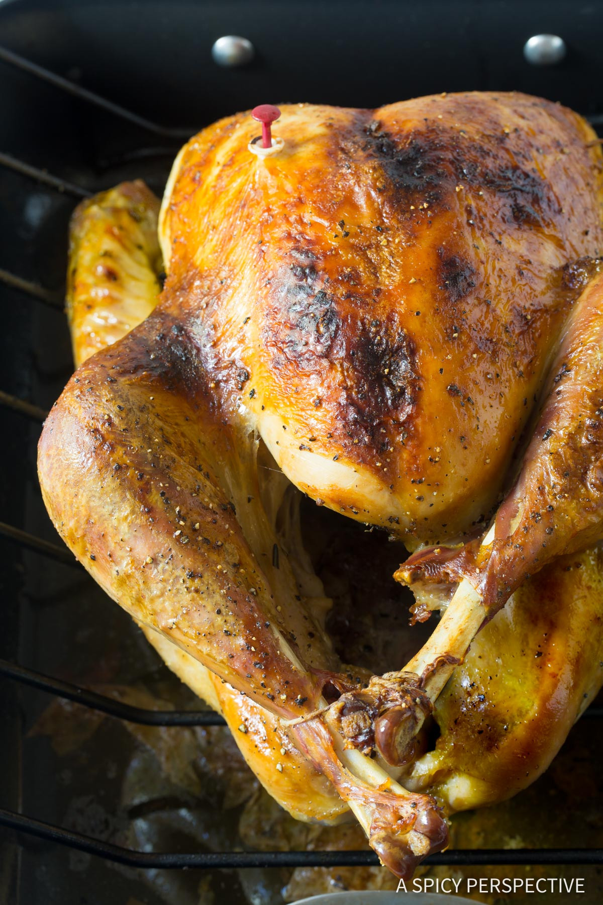 Best Thanksgiving Turkey Brine
 Best Turkey Brine Recipe A Spicy Perspective