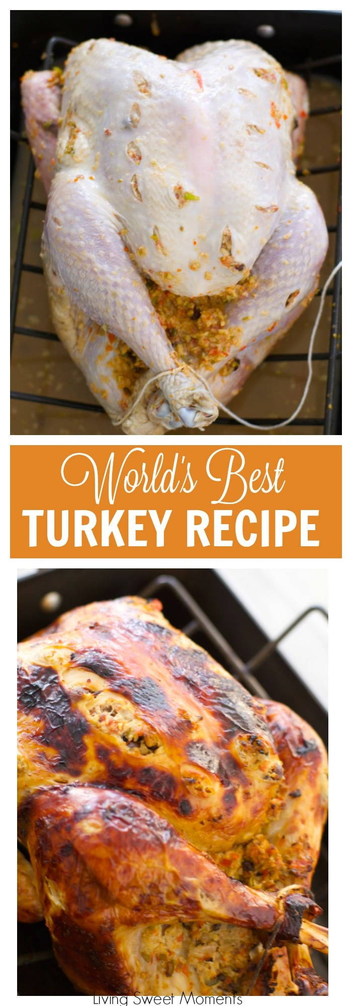 Best Turkey Recipe For Thanksgiving
 The World s Best Turkey Recipe A Tutorial Living Sweet