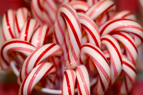 Candy Christmas Divorce
 Lifting Teens Spirits During the Holidays
