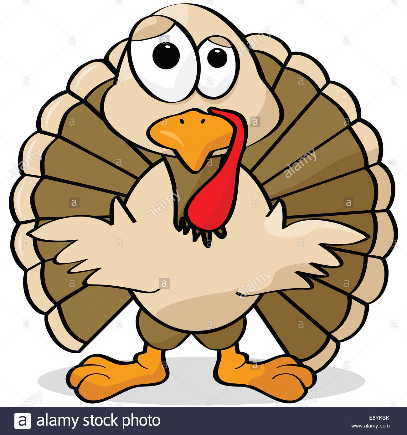 Cartoon Thanksgiving Turkey
 Turkey Bird Drawing Stock s & Turkey Bird Drawing