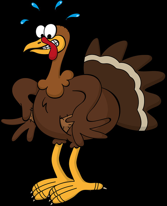 Cartoon Thanksgiving Turkey
 Turkey Cash Strapped Bust · Free image on Pixabay