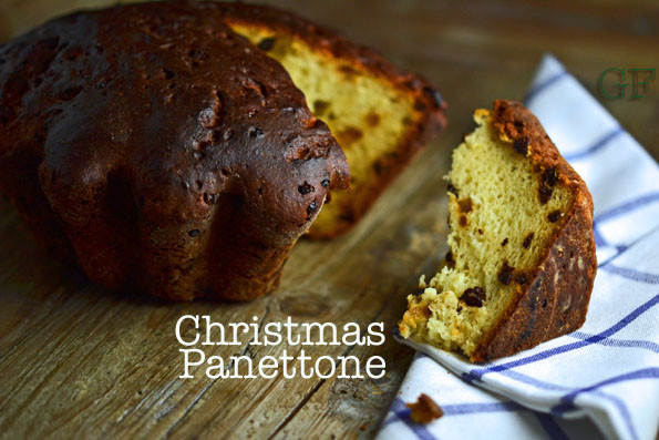 Christmas Bread Panettone
 Gluten Free Christmas Panettone Bread II