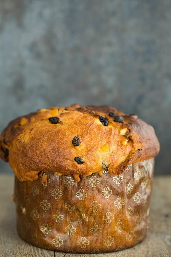 Christmas Bread Panettone
 Panettone Recipe