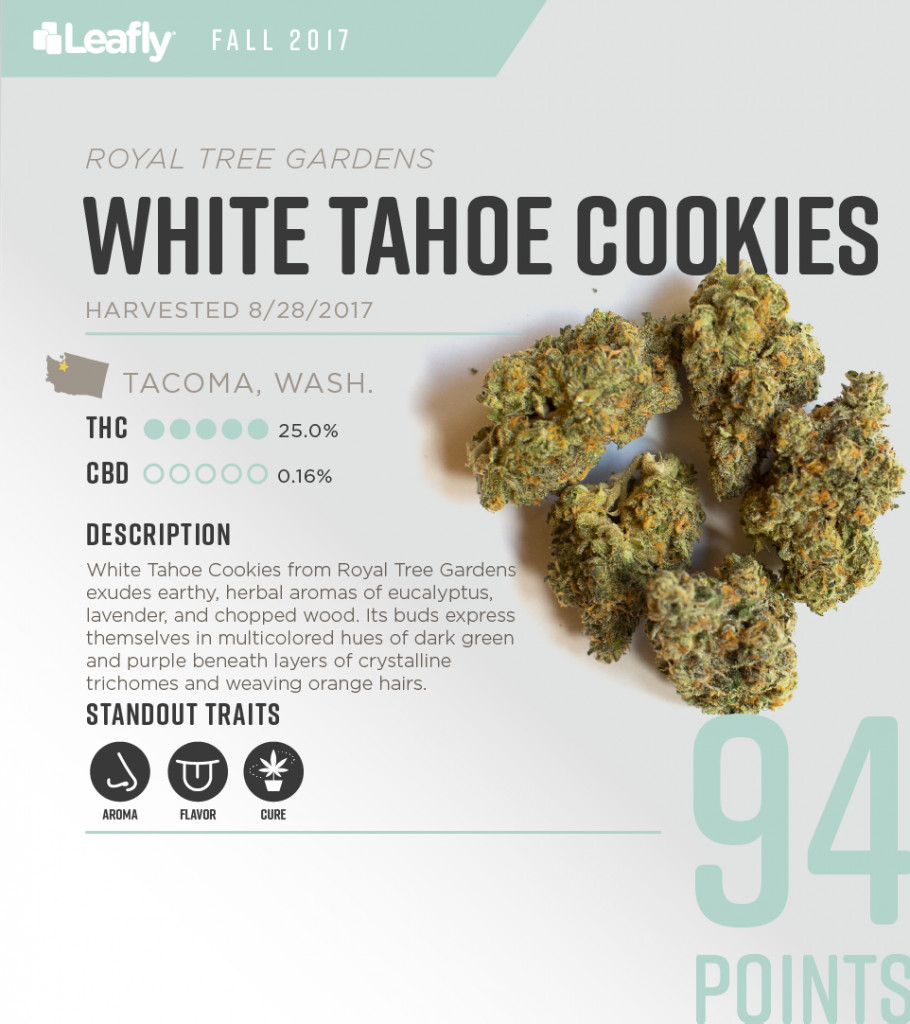 Christmas Cookies Strain
 5 Best Smelling Cannabis Strains in Washington