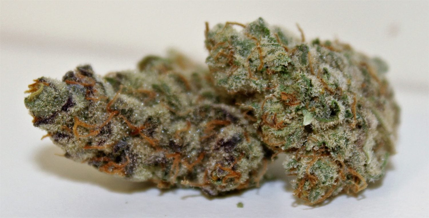 Christmas Cookies Strain
 Biscotti From Royal Tree Gardens Is A Cookies Lovers Dream