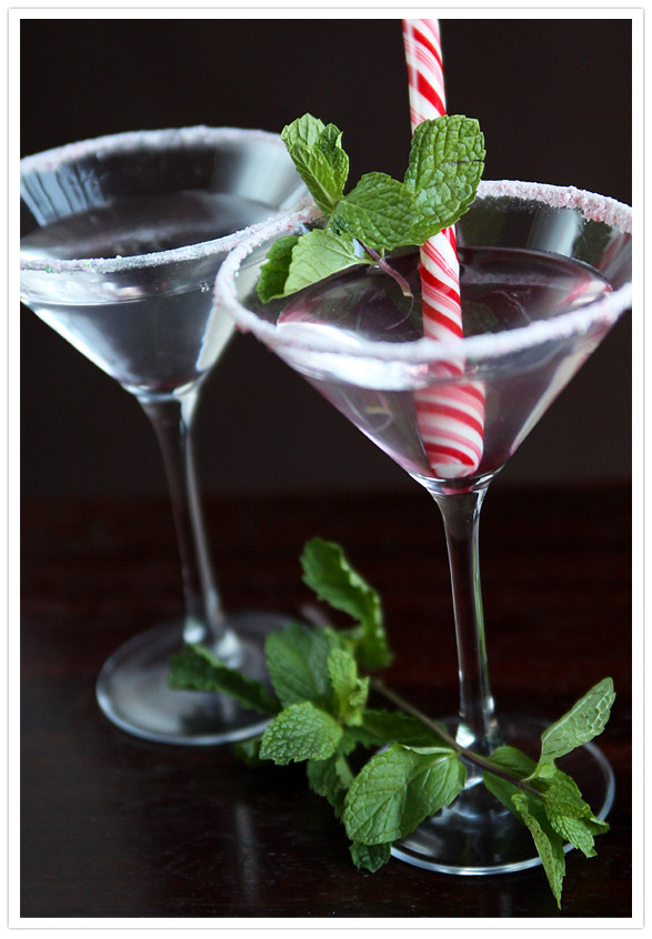 Christmas Drinks With Vodka
 21 Holiday Party Drinks Non Alcoholic and With Alcohol