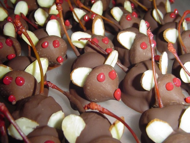 Christmas Mice Candy
 Chocolate Christmas Mice Anytime Mice Recipe Food