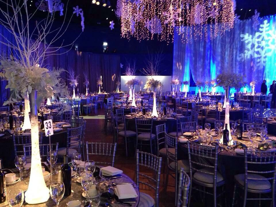 Christmas Themed Dinners
 A Frozen themed gala dinner Christmas Party in the Mansion
