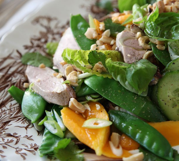Cold Salads For Thanksgiving
 Turkey and Mango Salad Annabel Langbein – Recipes