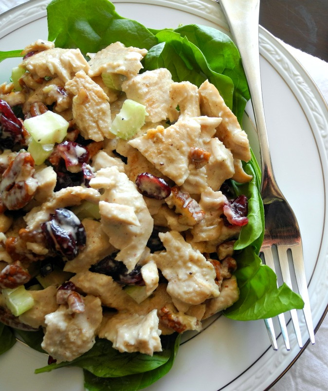 Cold Salads For Thanksgiving
 Paleo Turkey Cranberry Salad with Pecans