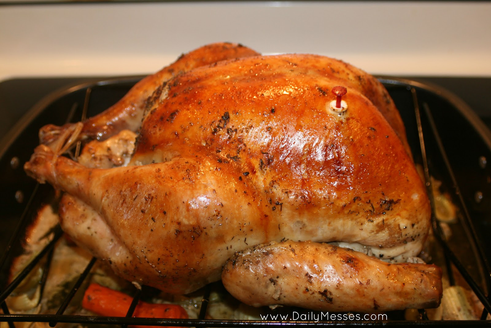Cooking The Perfect Thanksgiving Turkey
 Daily Messes How To Cook The Perfect Turkey