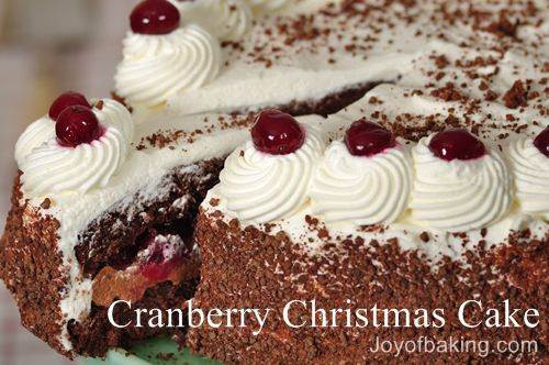 Cranberry Christmas Cake Recipe
 Cranberry Christmas Cake Joyofbaking Tested Recipe