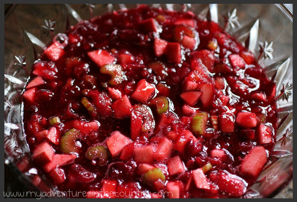 Cranberry Jello Salad Recipes Thanksgiving
 Grandma Jim’s Cranberry Salad