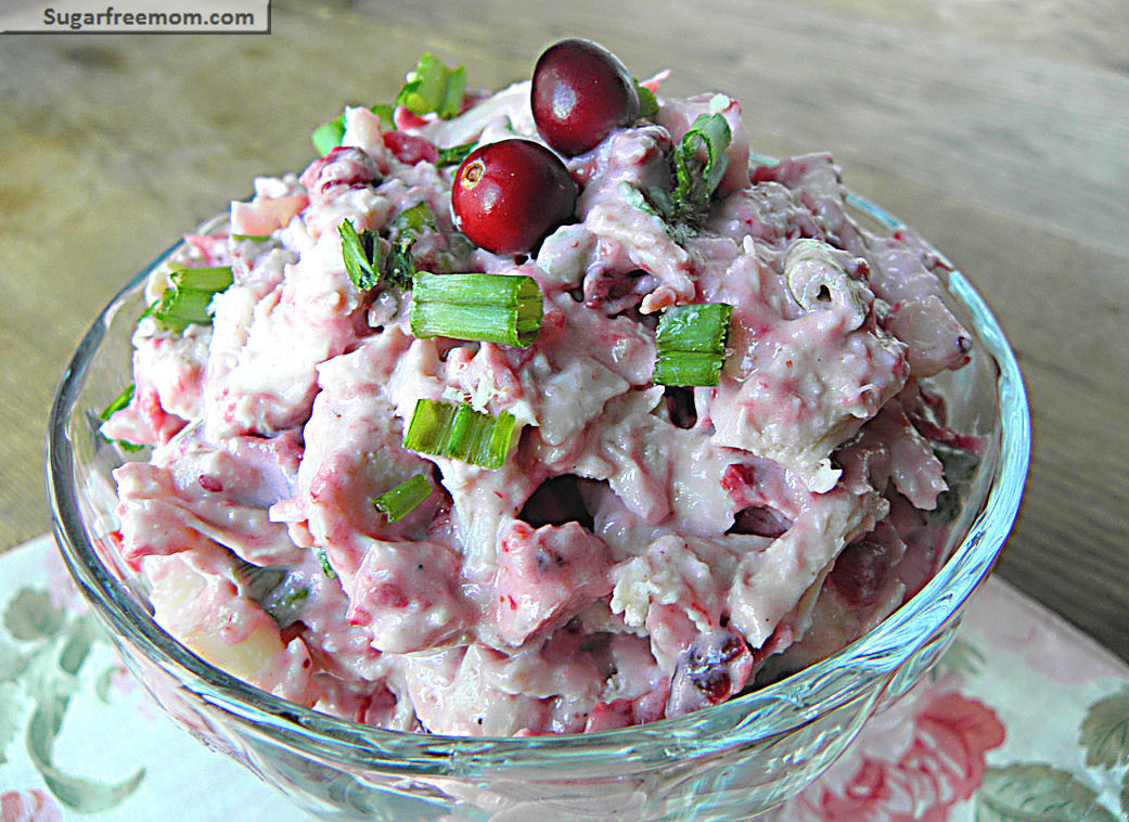 Cranberry Salad Recipes For Thanksgiving
 Mayo Free Cranberry Turkey Salad