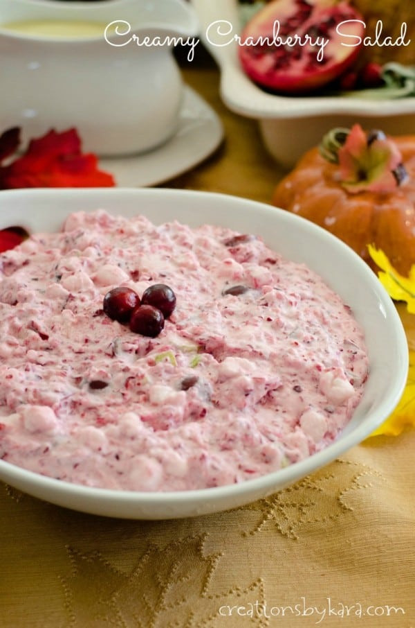 Cranberry Salad Recipes For Thanksgiving
 Creamy cranberry salad