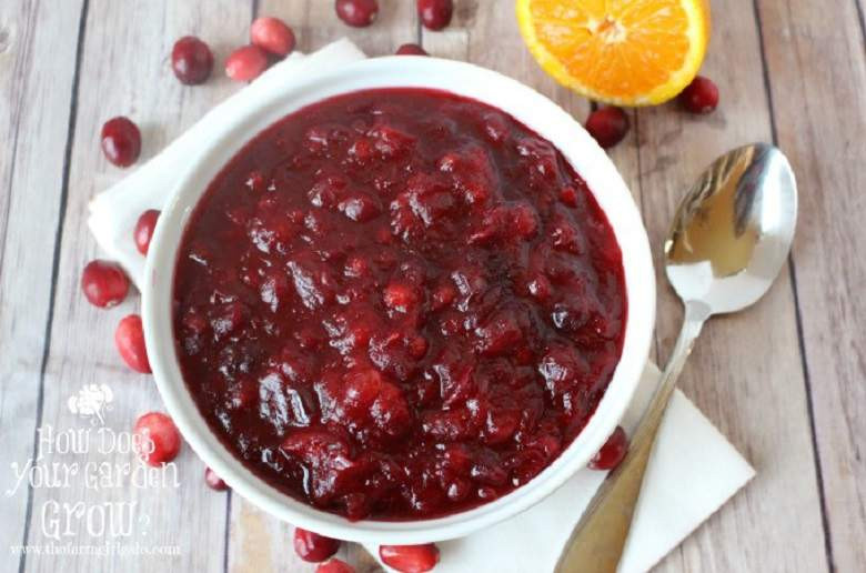 Cranberry Sauce Thanksgiving Side Dishes
 Top 5 Best Cranberry Sauce Recipes for Thanksgiving 2015