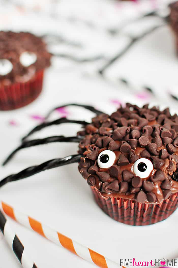 Cupcakes For Halloween
 Spider Cupcakes for Halloween