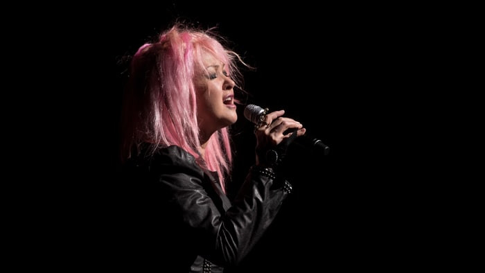 Cyndi Lauper Hard Candy Christmas
 Willie Nelson to Guest on Cyndi Lauper Country Album