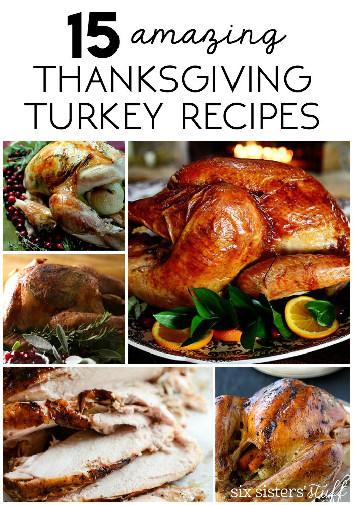 Delicious Turkey Recipes For Thanksgiving
 15 Delicious Thanksgiving Turkey Recipes