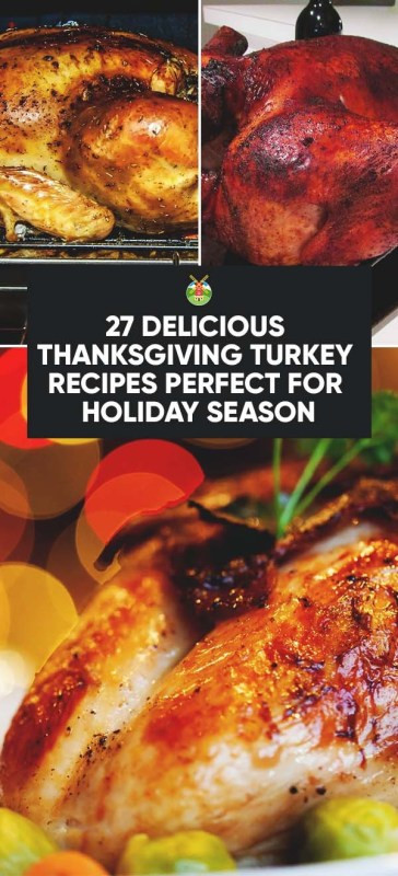 Delicious Turkey Recipes For Thanksgiving
 27 Delicious Thanksgiving Turkey Recipes Perfect for